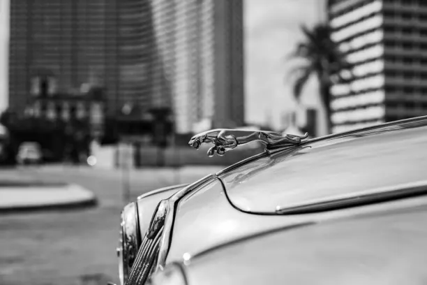 카지노 프라이즈 랜드 빙고 안드로이드/iOS 앱